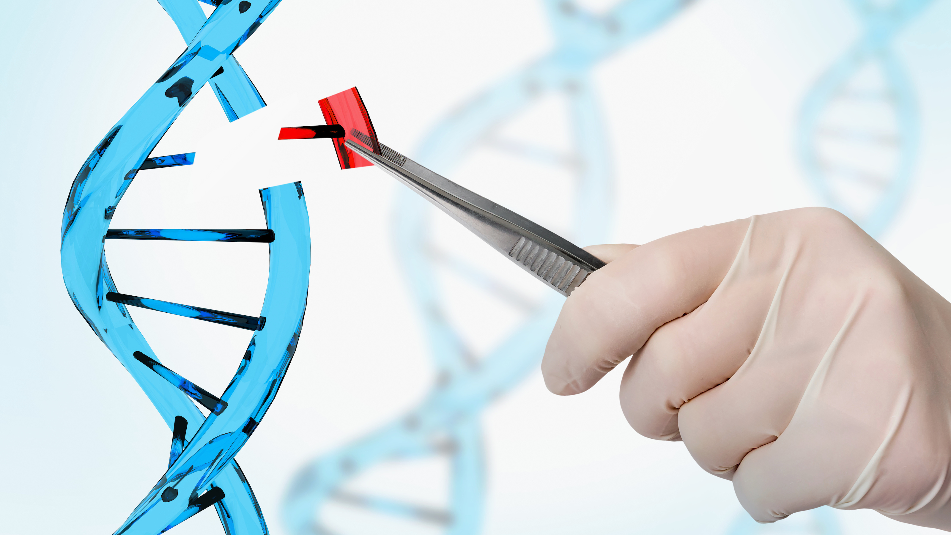 5 Biotech Trends To Watch In 2023 Big Think 5 Biotech Trends To Watch In 2023 Big Think