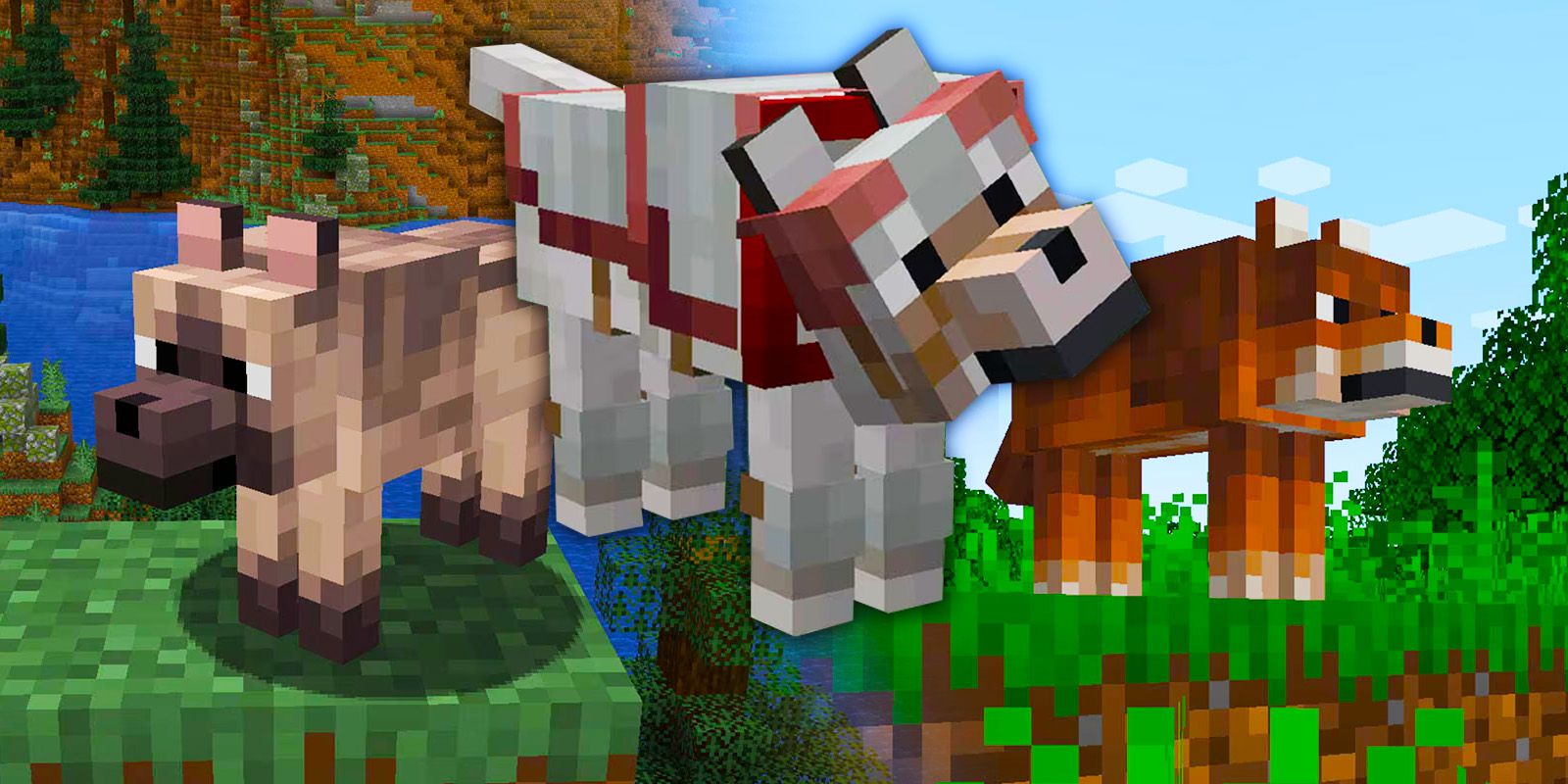 All Minecraft 1 21 Wolf Variants All Minecraft 1 21 Wolf Variants