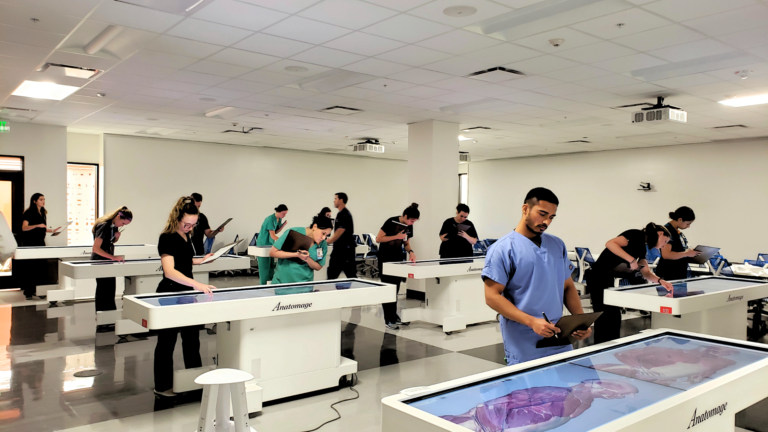 Anatomage Cadaver: Exploring the Asian Male Anatomy