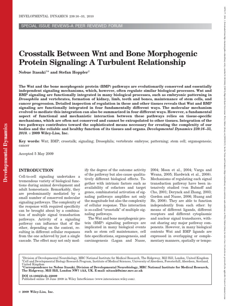 Crosstalk Between Wnt And Bone Morphogenetic Protein Signaling During Crosstalk Between Wnt And Bone Morphogenetic Protein Signaling During