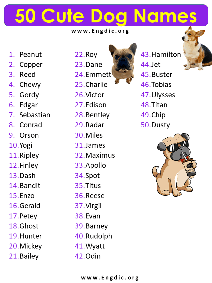 Dog Names 100 Most Popular Male And Female Dog Names 7Esl Dog Names 100 Most Popular Male And Female Dog Names 7Esl