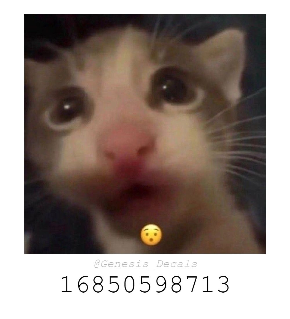 Top Roblox Meme IDs to Use in 2023