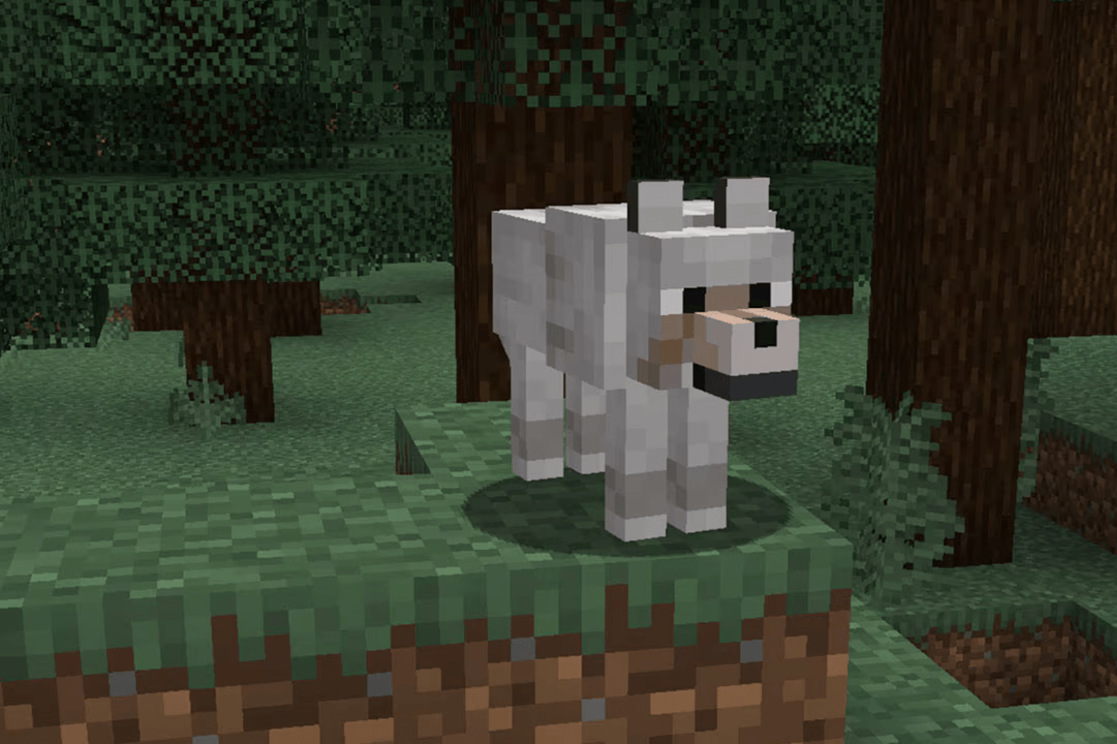 Minecraft Wolves And Dog Variants Full List And Locations Radio Times Minecraft Wolves And Dog Variants Full List And Locations Radio Times