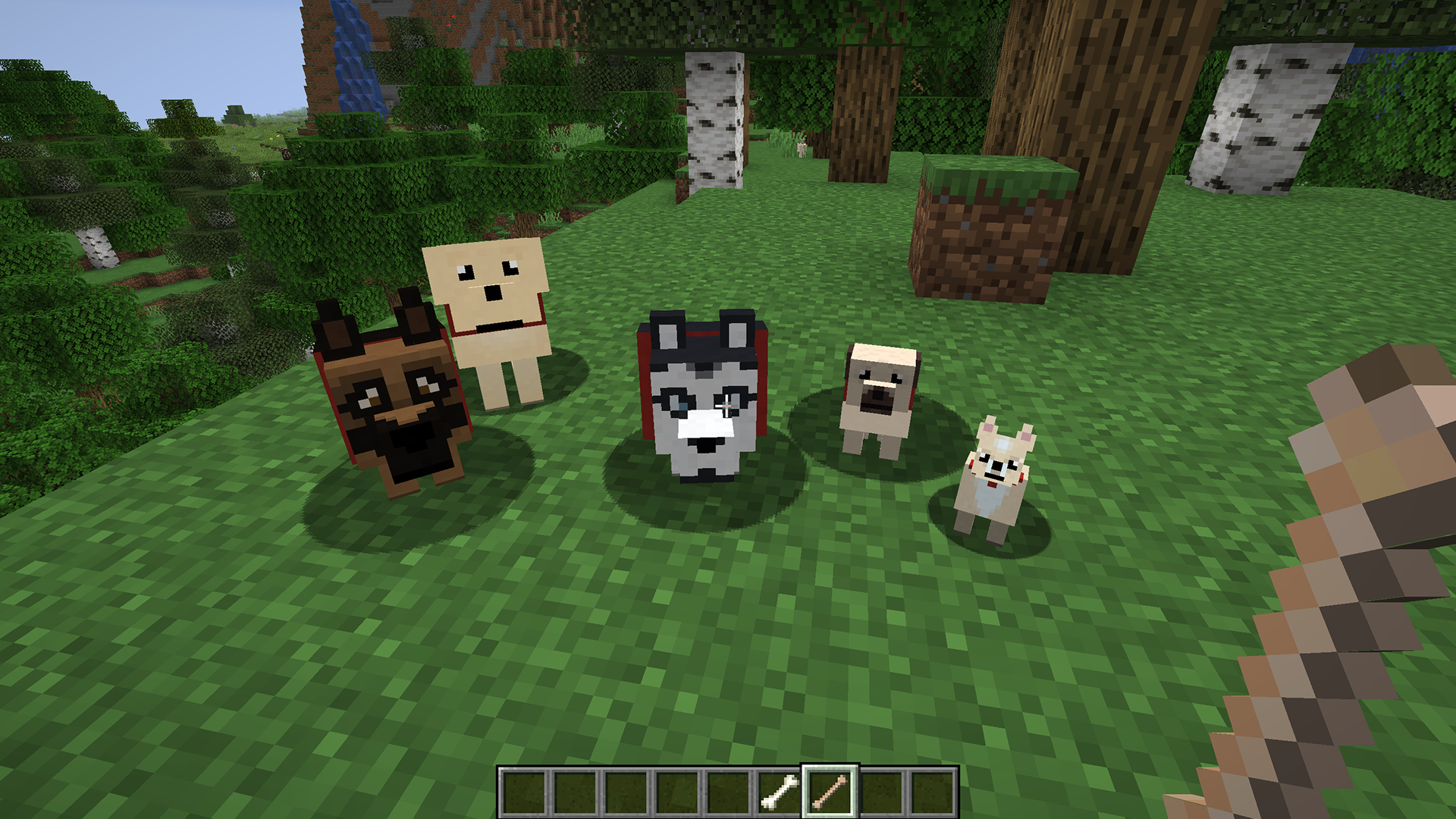 New Minecraft Dogs: Everything You Need to Know