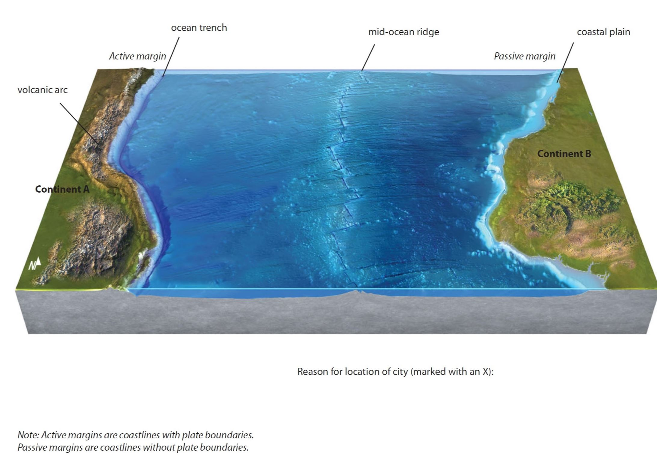 Oceanic Trench Cartoon: Exploring the Deepest Depths with Humor