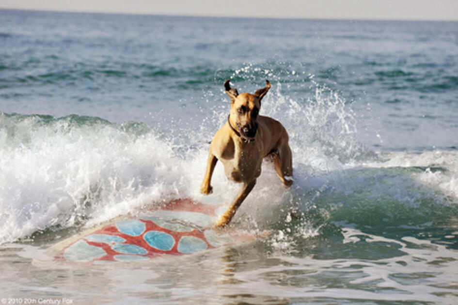Respect Thread Marmaduke: A Community's Tribute