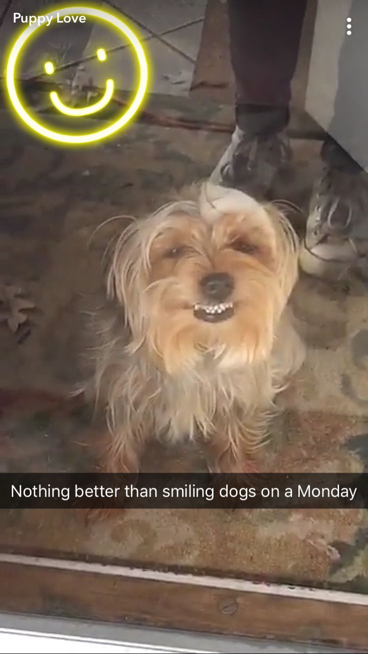 Snapchat Smiling Face: Meaning & How to Use It