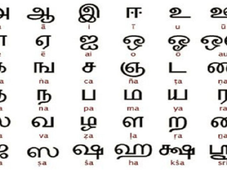 Sri Lankan vs Indian: Culture, Cuisine, and Traditions Compared