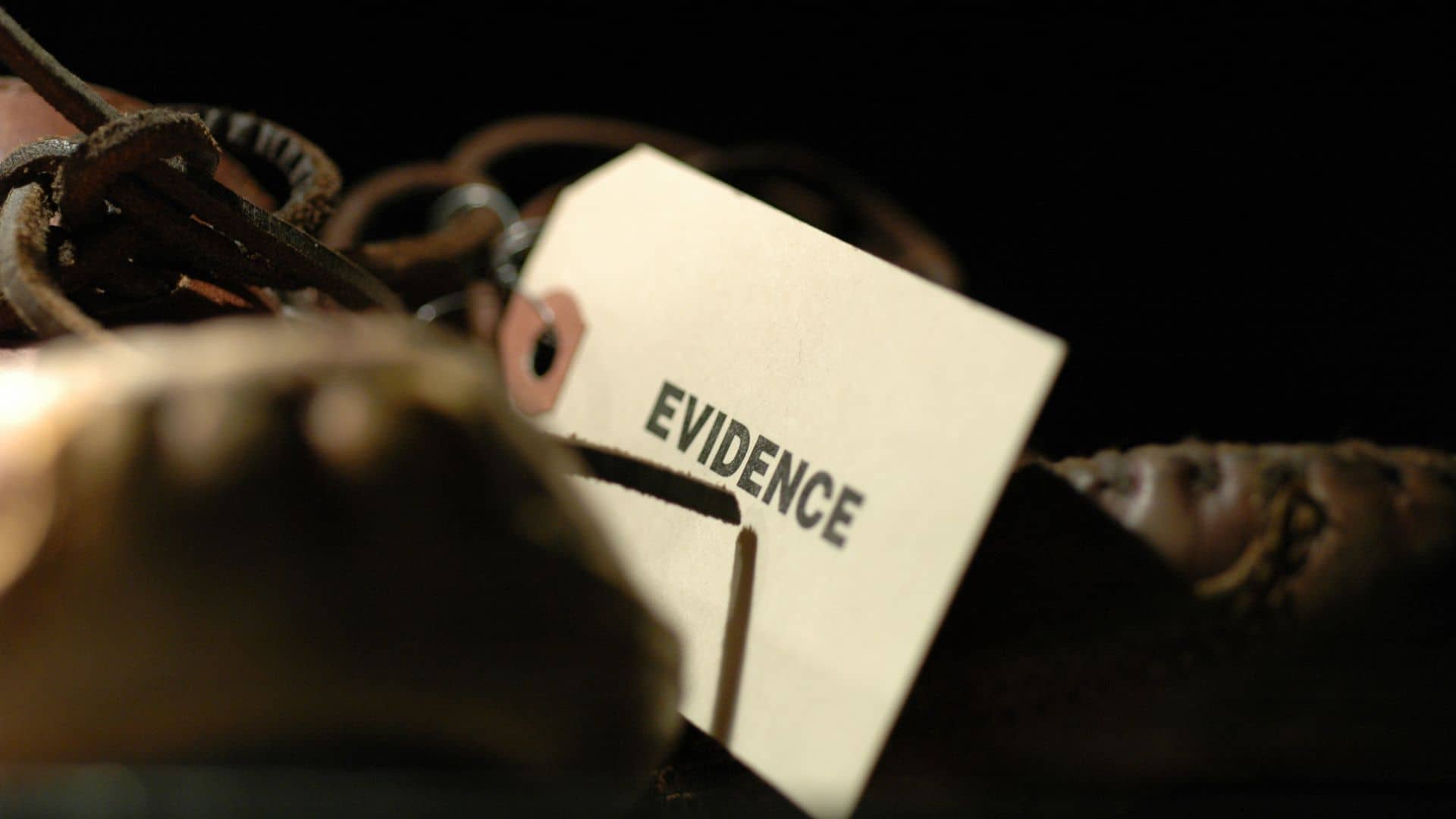 Testimonial Evidence in Juvenile Cases: What You Need to Know