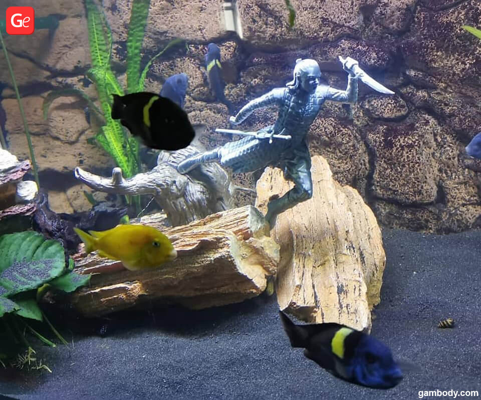 Transform Your Aquatic Wonderland The Ultimate Guide To 3D Print Fish Transform Your Aquatic Wonderland The Ultimate Guide To 3D Print Fish