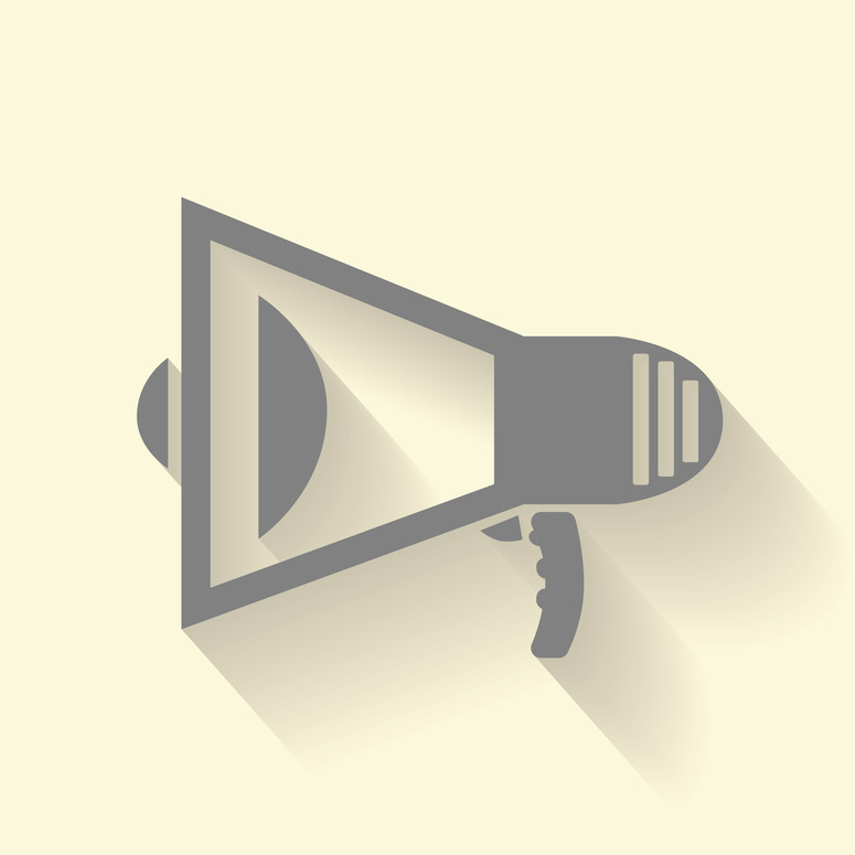 Common Misconceptions About Parliamentary Democracy Explained