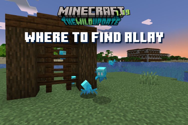 Where to Find Allay: Top Locations & Tips