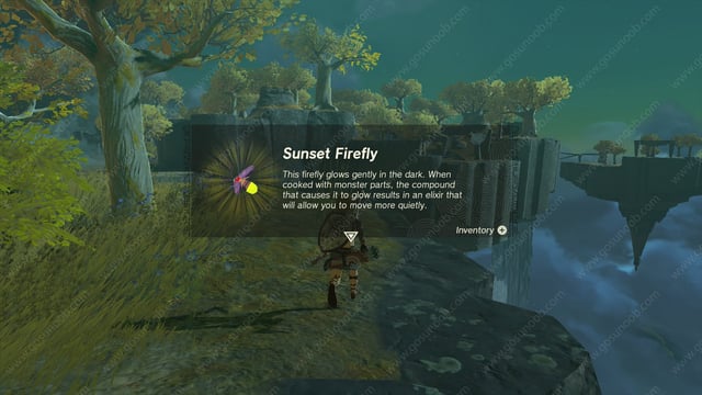 Zelda Totk Sunset Firefly Farming Locations Zelda Totk Sunset Firefly Farming Locations